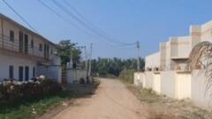 ગીરસોમનાથ: દુદાના ગામે મહિલા બોડી સમરસ, મહિલાઓને સુકાન સોંપ્યું, જુઓ ગુજરાતી ન્યુઝ