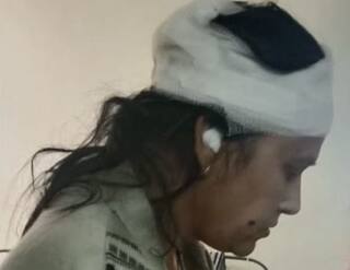 વડોદરામાં રખડતાં ઢોરનો ત્રાસ યથાવત, ભાજપના મહિલા નેતાને ગાયે ફંગોળતા માથામાં ઇજા 