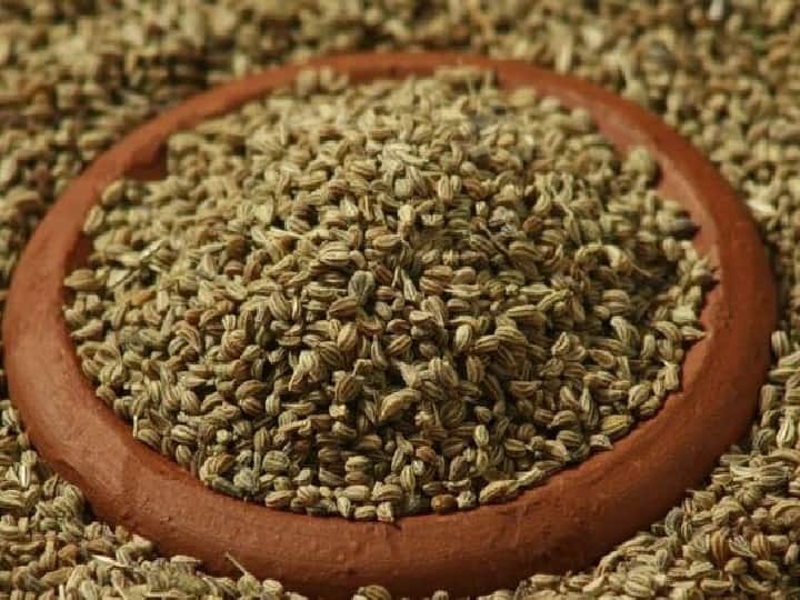 Ajwain Health Benefits in Winter know about the health benefits of using Ajwain in winters Ajwain Benefits: सर्दियों में अजवाइन का जरूर करें सेवन, मिलेंगे ये हेल्थ बेनिफिट्स