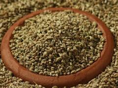 Ajwain Benefits: рд╕рд░реНрджрд┐рдпреЛрдВ рдореЗрдВ рдЕрдЬрд╡рд╛рдЗрди рдХрд╛ рдЬрд░реВрд░ рдХрд░реЗрдВ рд╕реЗрд╡рди, рдорд┐рд▓реЗрдВрдЧреЗ рдпреЗ рд╣реЗрд▓реНрде рдмреЗрдирд┐рдлрд┐рдЯреНрд╕