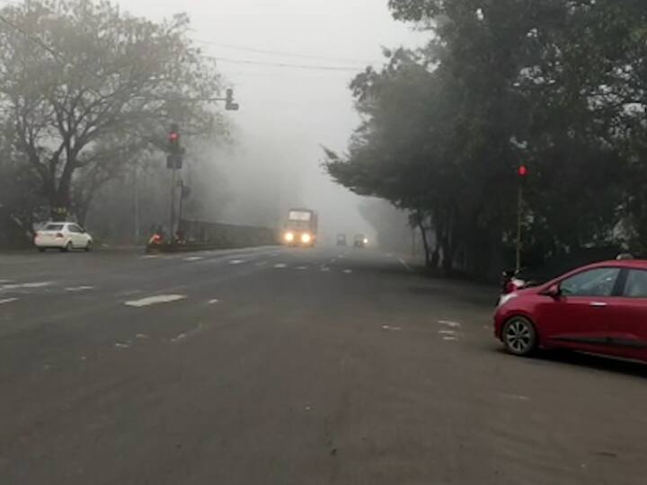 धुक्यामुळे द्राक्ष बागावर रोग पडण्याची शक्यता आहे.