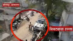 Shrirampur Ahmednagar : 4 तासानंतर बिबट्या जेरबंद ABP MAJHA