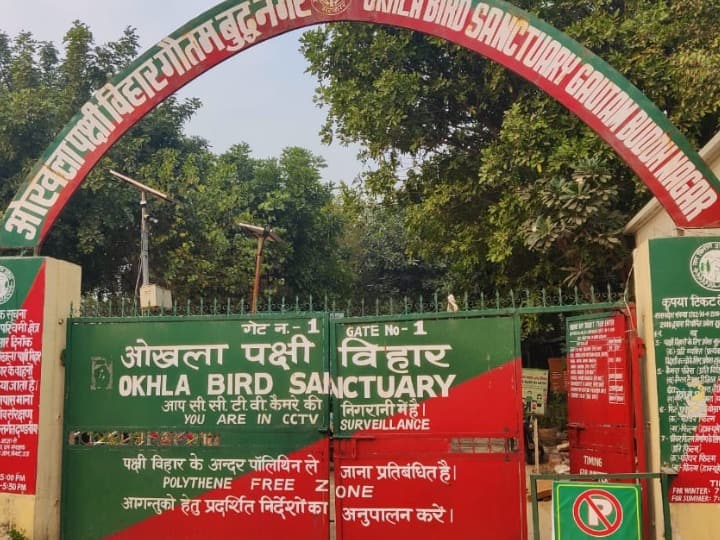 Noida News: बिना घड़ी और गूगल मैप के सहारे कैसे हजारों मील की यात्रा करते हैं पक्षी, जानिए दिलचस्प बात Know here How do birds travel thousands of miles without a watch and with the help of Google Maps ANN Noida News: बिना घड़ी और गूगल मैप के सहारे कैसे हजारों मील की यात्रा करते हैं पक्षी, जानिए दिलचस्प बात