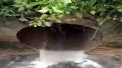 Jawad Rain: বিকেল অবধি বন্ধ লকগেট, টানা বৃষ্টি হলে কলকাতায় জল জমার আশঙ্কা| Bangla News