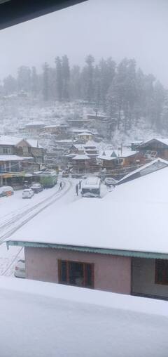 ਸ਼ਿਮਲਾ ਦੇ ਨਾਰਕੰਡਾ 'ਚ ਬਰਫਬਾਰੀ, ਸਾਰਾ ਸੂਬ ਸ਼ੀਤਲਹਿਰ ਦੀ ਲਪੇਟ 'ਚ