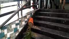 Murshidabad: চিকিৎসায় গাফিলতির জেরে রোগীমৃত্যুর অভিযোগ, উত্তপ্ত মুর্শিদাবাদের সামশেরগঞ্জ | Bangla News