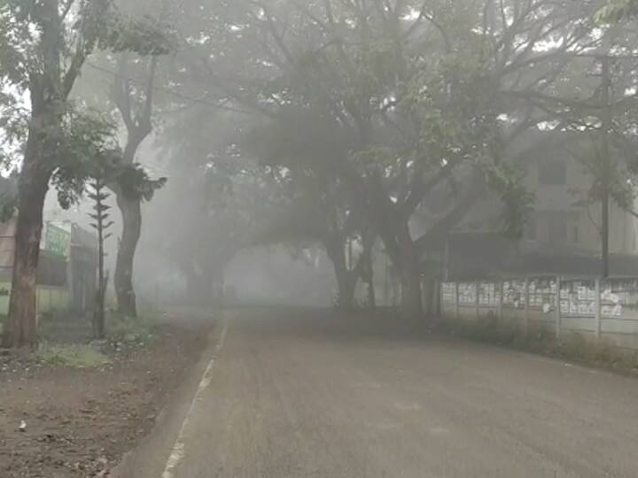 IMD Predicts Rainfall Over Northern India In Next Few Days, Thunderstorms & Lightning Also Expected IMD Predicts Rainfall Over North India From Today, Thunderstorms & Lightning Also Expected