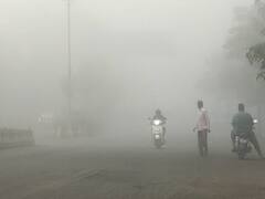 Cold Wave : उत्तर भारतात थंडीची लाट, वीकेंडला महाराष्ट्रही गारठण्याची शक्यता