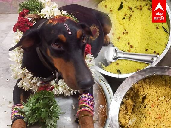 மதுரைக் காரங்க பாசமே வேற ரகம்தான்...வளர்ப்பு நாய்க்கு வளைகாப்பு