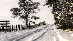 Weather Update | Heavy Snowfall from Himachal to J&K; Hilly areas covered in white sheet