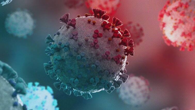 The first case of #Omicron variant of coronavirus in Maharashtra, 33-year-old mechanical engineer, has tested negative for COVID-19 Omicron: সুস্থ দেশের প্রথম ওমিক্রন আক্রান্ত ব্যক্তি, আপাতত ৭ দিনের কোয়ারেন্টিনে