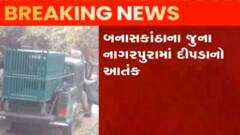 બનાસકાંઠાઃ જૂના નાગરપુરામાં ખેતરમાં ત્રણ લોકો પર દીપડાએ કર્યો હુમલો, જુઓ ગુજરાતી ન્યૂઝ