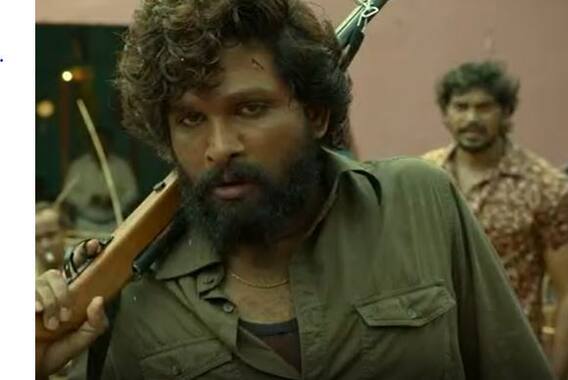 పుష్ప ట్రైలర్ తో సినిమాపై అంచనాలు అమాంతం పెంచేసిన బన్నీ- సుకుమార్