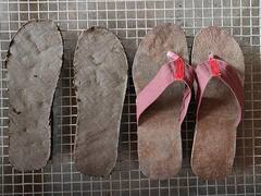 Chhattisgarh News: रायपुर में धूम मचा रही गोबर से बनी चप्पल, जानिए कीमत से लेकर इसकी खासियत