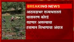 Maharashtra Rains: राज्यभरातल्या शेतकऱ्यांना दिलासा, आठवडाभर हवामान कोरडं राहणार ABP Mjaha