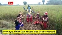 Vanara harathi : తూ.గో జిల్లా గోకవరం మండలం అచ్యుతాపురంలో కోటి తలంబ్రాల పంటకు వానరహారతి