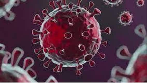 Omicron Variant Cases in India: ফের ২ ওমিক্রন-আক্রান্তের হদিশ, দেশে মোট আক্রান্ত বেড়ে ২৩ | Bangla News