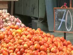 Tomato Price Rise: आसमान छू रही टमाटर की कीमत, इस सब्जी का दाम उड़ा देगा होश