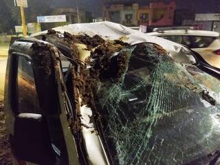 Vadodara : રસ્તા પર અંદરો-અંદર બાખડતી 3 ગાયો વચ્ચે આવતાં કાર મારી ગઈ પલટી, કારમાં સવાર હતો આખો પરિવાર