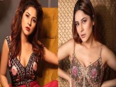 Shehnaaz Gill Video: इसके साथ था शहनाज गिल का बेहद Pure Relation, वायरल वीडियो को देख फैंस हो रहे इमोशनल