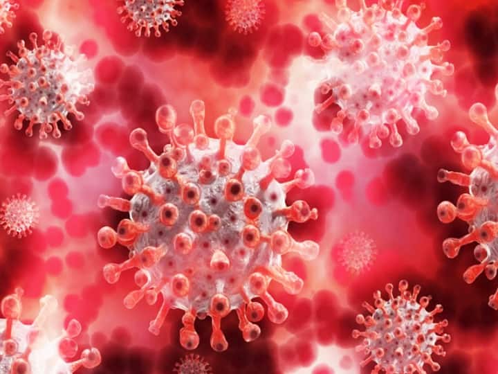 Omicron Corona virus Latest updates IMA warns of  massive third wave of COVID-19 ... तर भारतात कोरोनाची भयंकर तिसरी लाट येणार, IMAचा इशारा