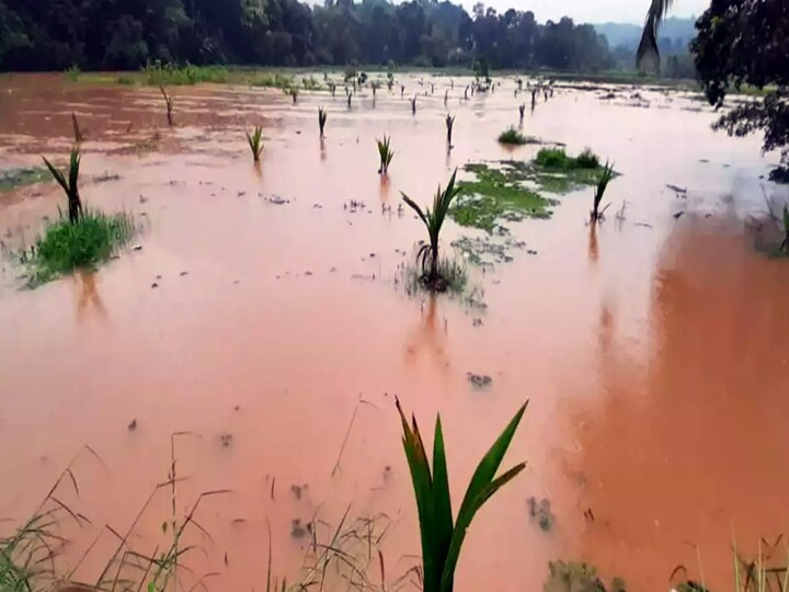 தேனியில் கொட்டித்தீர்த்த கனமழை - வைகை அணையில் இருந்து கூடுதல் நீர் திறப்பு