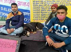 દેહરાદૂનમાં કૂતરો બેઠો ભૂખ હડતાળ પર, જાણો વિગત