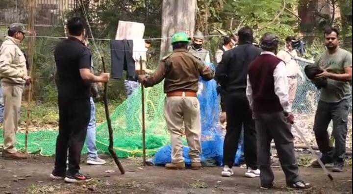 बता दें कि कमला नेहरू प्राणी संग्रहालय से गुरुवार से लापता हुआ तेंदुआ आज सुबह नवरतन बाग क्षेत्र से रेस्क्यू किया गया है. रेस्क्यू किए जाने के बाद वन विभाग कमला नेहरू प्राणी संग्रहालय और आसपास के क्षेत्रों के निवासियों ने राहत की सांस ली है.बताया जा रहा है कि तेंदुआ पीछे के हिस्से से घायल है. जिसके कारण वह ठीक से चल भी नहीं पा रहा है. अब तेंदुए का इलाज प्राणी संग्रहालय के अस्पताल में किया जा रहा है.