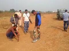 बुलढाण्यातील खामगावात चौथ्या दिवशीही वाघाची दहशत कायम; प्रशासन अलर्ट मोडवर, शोधमोहीम सुरु