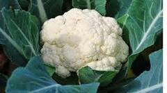 Cauliflower For Health: જો આપ આ રોગથી પીડિત હો તો,  ભૂલથી પણ ન ખાશો ફલાવર, જાણી લો નુકસાન