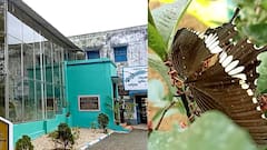 Birbhum News: বেনজির উদ্যোগ, সরকারি অনুদানে স্কুলেই তৈরি 'প্রজাপতি উদ্যান', সাড়া ফেলেছে রাজ্যে