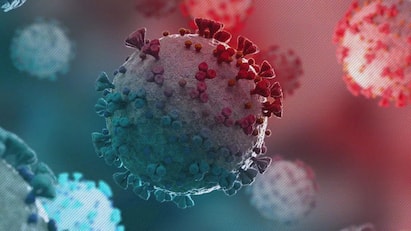 Omicron Cases In India Reach 36 As Andhra & Chandigarh Report First Infections, Karnataka Detects Third Omicron Cases In India: কর্ণাটকে সন্ধান তৃতীয় আক্রান্তের , ভারতে ওমিক্রনে সংক্রমিতের সংখ্যা বেড়ে ৩৬