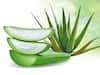 Aloe Vera Benefits | கற்றாழை அழகுக்கு மட்டுமில்ல.. இந்த விஷயங்களுக்கும் நல்லது.. இதையும் தெரிஞ்சுகோங்க..