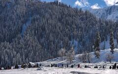 Snowfall in North India : সিমলা থেকে ভূস্বর্গ, তুষারশুভ্র বরফে ঢাকল পাহাড়-কোল, উল্লসিত পর্যটকরা