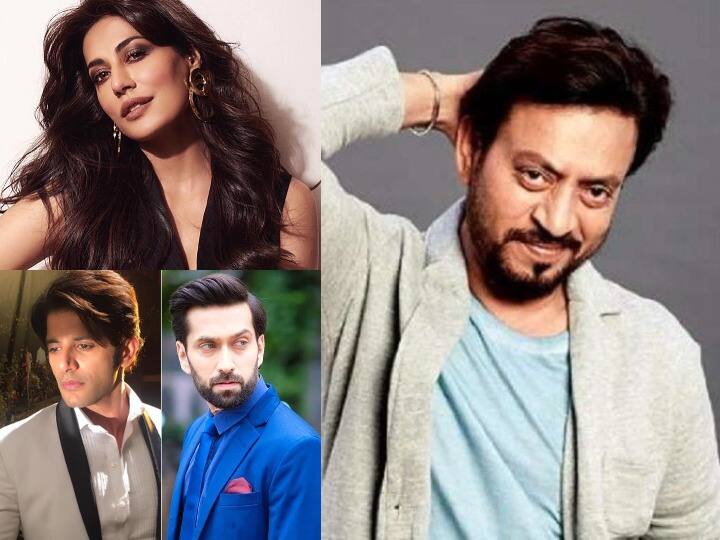 Stars From Rajasthan: इन दिनों राजस्थान का नाम काफी चर्चा में बना हुआ है. बॉलीवुड एक्टर विक्की कौशल औऱ कैटरीना कैफ राजस्थान के सवाई माधोपुर में शादी करने जा रहे हैं. अक्सर सुना जाता हैं कि राजस्थान की पहचान वहां के राजे राजवाड़े रहे हैं. लेकिन क्या आप जानते हैं राजस्थान की मिट्टी ने बॉलीवुड को भी कई ऐसे सितारें दिए है जिन्होंने हिंदी सिनेमा और टीवी जगत में अपनी एक खास पहचान बनाई है. आइए डालते हैं ऐसे सितारों पर एक नजर......