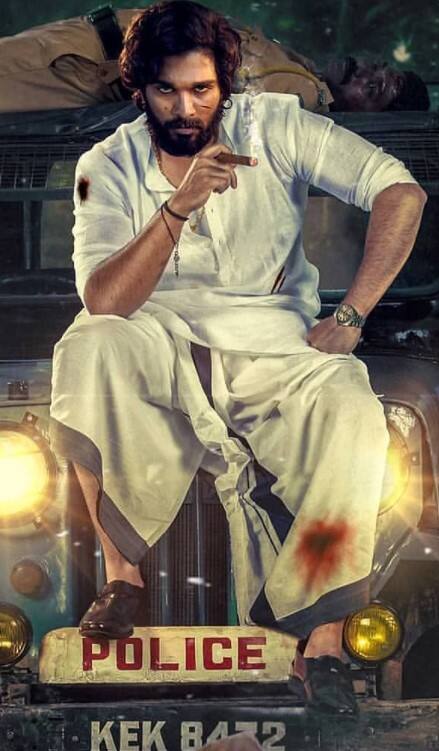 బన్నీ వన్ మ్యాన్ షో నేనా అంతా?