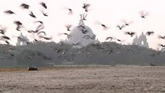 Weather Update: কুয়াশাচ্ছন্ন সকাল, রাজ্যজুড়ে ফিরল শীতের আমেজ