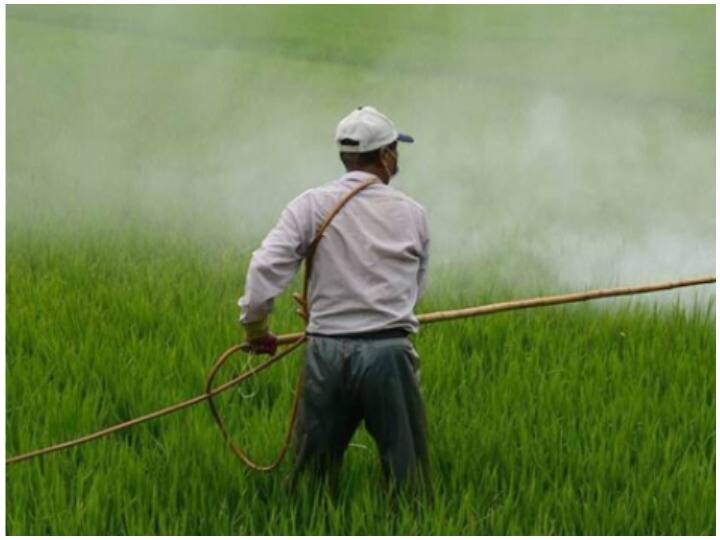 Fertilizer Shortage: क्या देश में DAP और NPK जैसे खादों की है किल्लत? उर्वरक मंत्री ने दिया जवाब Fertilizer Shortage: Is there a shortage of fertilizers like DAP and NPK in the country? Fertilizer Minister replied ANN Fertilizer Shortage: क्या देश में DAP और NPK जैसे खादों की है किल्लत? उर्वरक मंत्री ने दिया जवाब