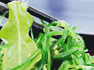 Health Tips: ਗਰਮੀਆਂ 'ਚ ਸਿਹਤਮੰਦ ਰਹਿਣ ਲਈ ਖਾਓ ਹਰਾ ਸਲਾਦ, ਇਸ ਤਰ੍ਹਾਂ ਕਰੋ ਤਿਆਰ