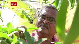 ఇంటి స్వరూపాన్నే మార్చేసిన అద్బతం..రూఫ్ గార్డెన్..!