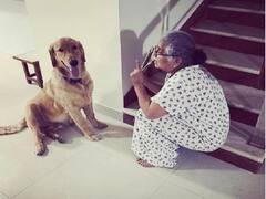 Video Viral : सुधा मूर्तींचं अनोखं श्वानप्रेम... वाढदिवसानिमित्त शेअर केला व्हिडीओ