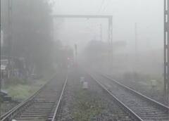 Weather Update: কুয়াশাচ্ছন্ন সকাল, রাজ্যজুড়ে ফিরল শীতের আমেজ