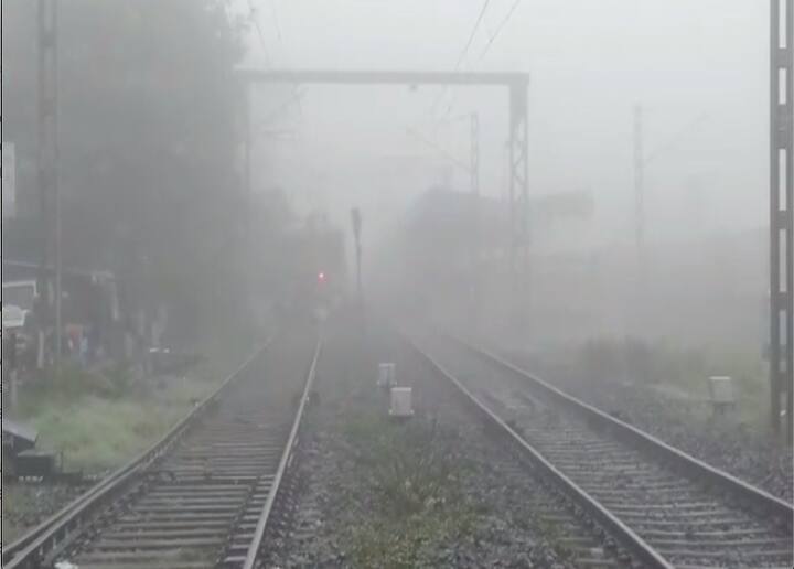 দুর্যোগ কাটতেই ফিরল শীতের আমেজ।কলকাতা-সহ বিভিন্ন জেলায় সকাল থেকে কুয়াশা।