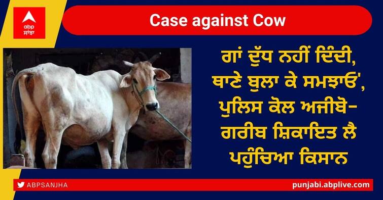 Case Against Cow: 'Cow does not give milk, call police station and explain', farmer reaches police to complaint 'ਗਾਂ ਦੁੱਧ ਨਹੀਂ ਦਿੰਦੀ, ਥਾਣੇ ਬੁਲਾ ਕੇ ਸਮਝਾਓ', ਪੁਲਿਸ ਕੋਲ ਅਜੀਬੋ-ਗਰੀਬ ਸ਼ਿਕਾਇਤ ਲੈ ਪਹੁੰਚਿਆ ਕਿਸਾਨ