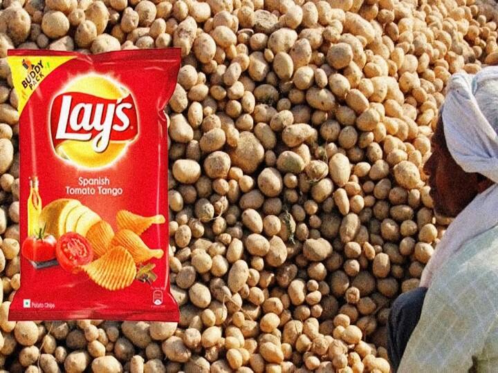 India revokes patent for PepsiCo's popular Lay's potatoes பெப்சி நிறுவனத்தின் ‛லேஸ்’ உருளைக்கிழங்கு பயிரிடுவதற்கான காப்புரிமை ரத்து!