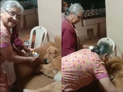 Video Viral : सुधा मूर्तींचं अनोखं श्वानप्रेम... वाढदिवसानिमित्त शेअर केला व्हिडीओ