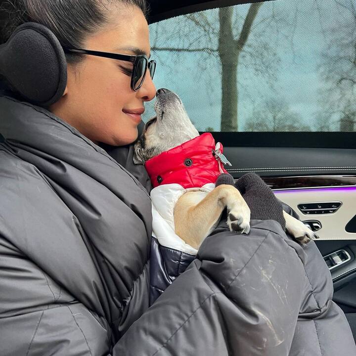 प्रियंका चोपड़ा को Pets काफी पसंद है. उनके पास तीन पेट्स हैं जिनके नाम हैं डायना, गीनो और पांडा. वो खुद को तीनो पेट्स की प्राउड मम्मी बताती हैं. (फोटो – सोशल मीडिया)