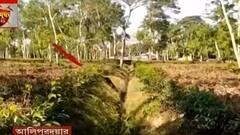 District News: জলপাইগুড়ি শহরে ভালুক আতঙ্ক, শ্রীরামপুরে গঙ্গায় মিলল কুমীরের মৃতদেহ। Bangla News