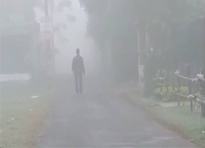 নদিয়া জেলায় ঘন কুয়াশা। শুনশান রাস্তা। রানাঘাট, চাকদা, কল্যাণী, শান্তিপুরেও কুয়াশার দাপট।