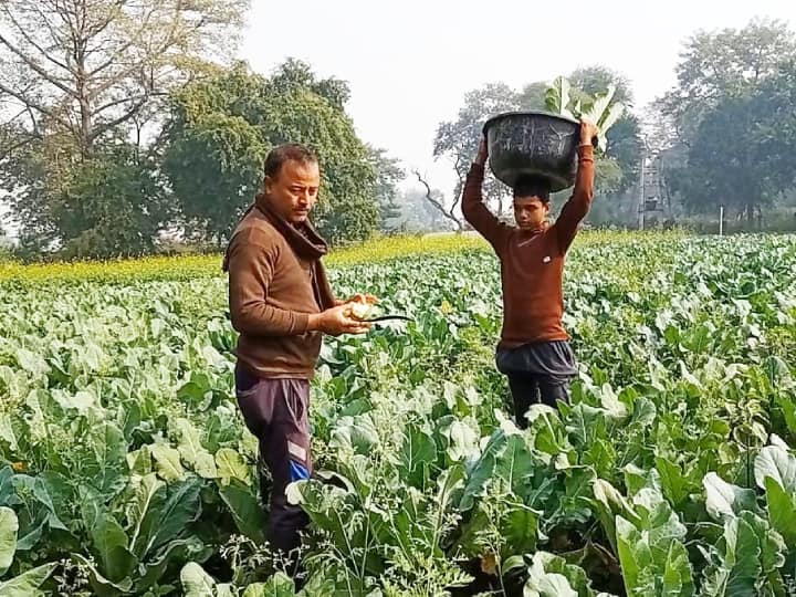 Good News: Mumbai Mein Ka Baa! Rajesh of Patna who is earning lakhs from farming, he leave job of 80 thousand ann Good News: मुंबई में का बा! 80 हजार की नौकरी छोड़कर खेती से लाखों कमा रहे पटना के राजेश, गजब का है ये तरीका